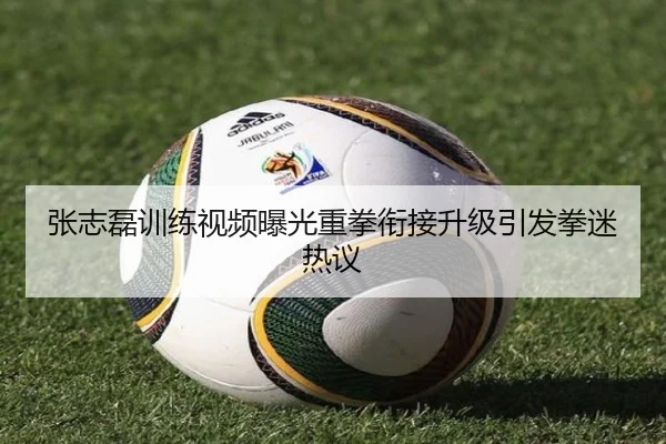 张志磊训练视频曝光重拳衔接升级引发拳迷热议